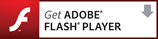 Adobe Flash Player�̃_�E�����[�h�i�ʃE�C���h�E�j