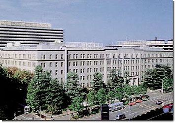 �����ȊO��