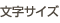 �����T�C�Y