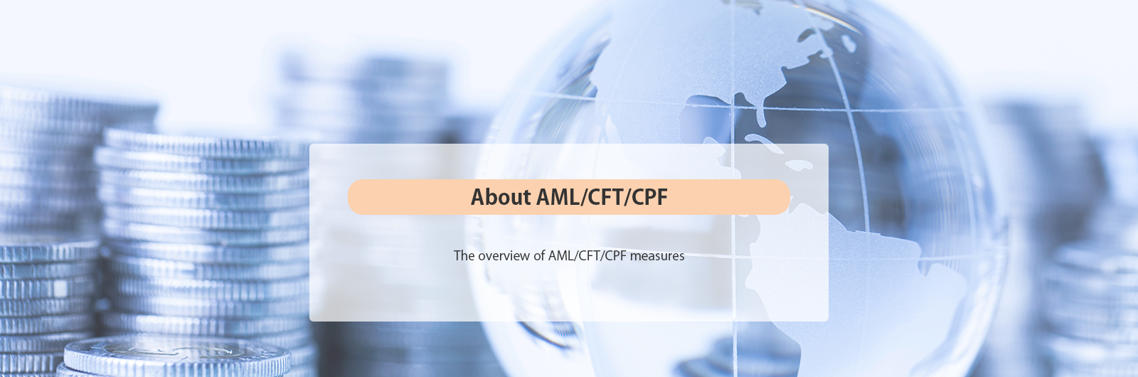 About AML/CFT/CPF