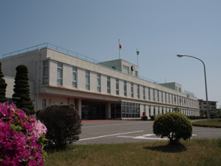 Hikone Plant