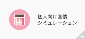 �l�������V�~�����[�V����