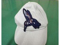 （開披した状態）の写真