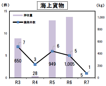 グラフ（海上貨物の摘発件数と押収量の推移）