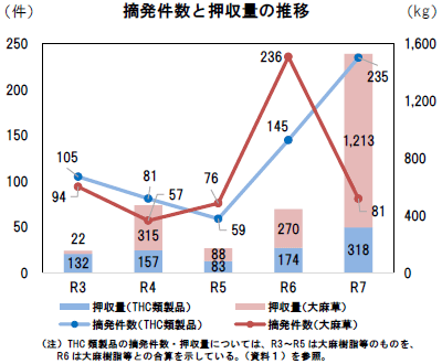 グラフ（摘発件数と押収量の推移）