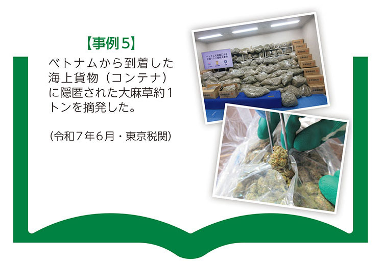 【事例5】ベトナムから到着した海上貨物（コンテナ）に隠匿された大麻草約1トンを摘発した。（令和7年6月・東京税関）