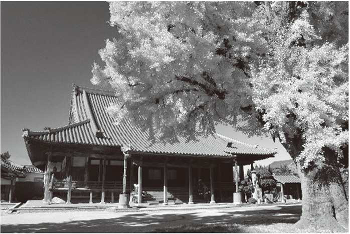本願寺日高別院(写真提供:御坊市役所)