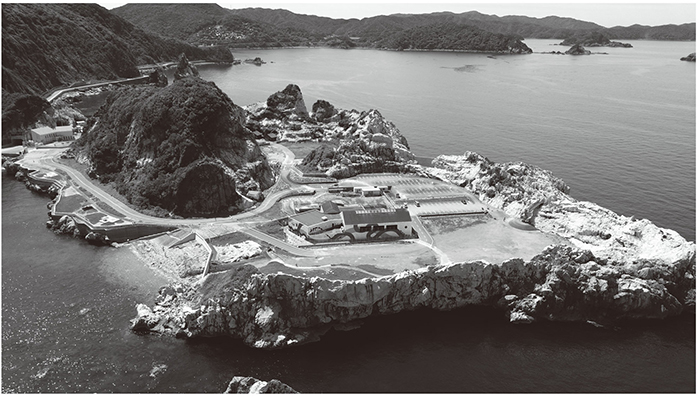 白崎海岸(写真提供:由良町役場)