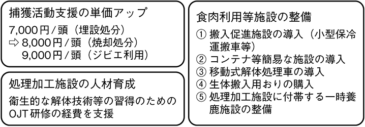 (図表12)政府支援策の一例