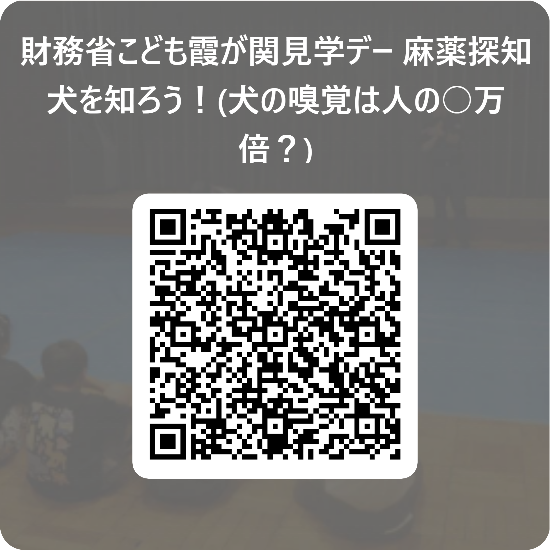 財務省こども霞が関見学デー_麻薬探知犬を知ろう!(犬の嗅覚は人の○万倍?) 用 QR コード.png
